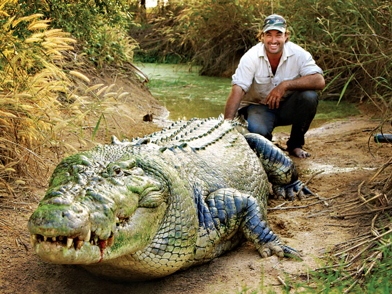 Matt Wright: the monster crocodile 